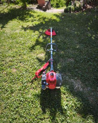 decespugliatore efco professionale
