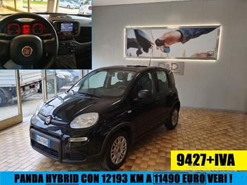 FIAT Panda HYBRID TAGLIANDO E GARANZIA PREZZO VE