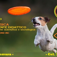 Fisica Chimica Matematica Geometria