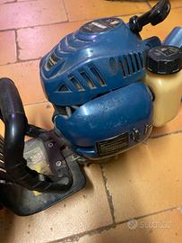 Tagliasiepi  a scopoia einhell