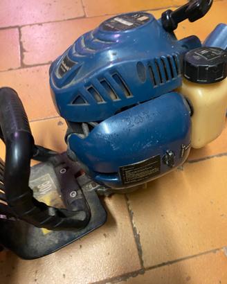 Tagliasiepi  a scopoia einhell