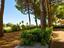 Immagine 18