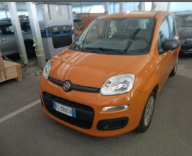 Panda seminuova