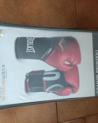 EVERLAST Pro Style Elite 12oz nuovi