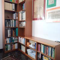 Mobile libreria con portaTV in noce tanganiKa