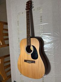 Chitarra Acustica Fender Alternative Series