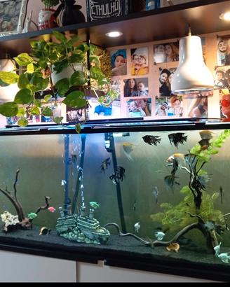 acquario 400 litri