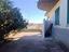 Immagine 15