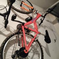 bicicletta da ragazzo