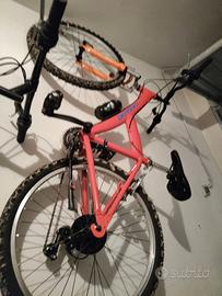 bicicletta da ragazzo