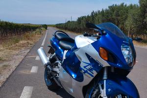 Hayabusa GSX 1300 r 2001