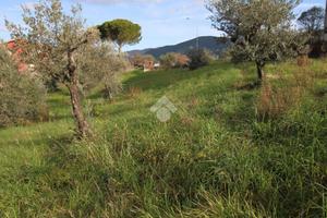 TER. RESIDENZIALE A POGGIO MIRTETO