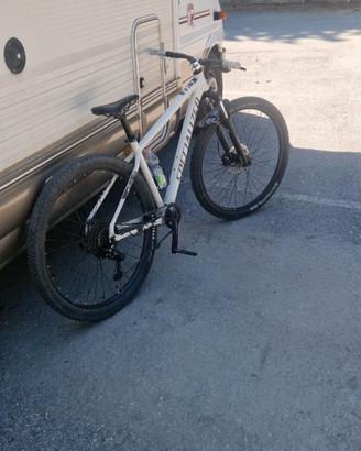 specialized rockhopper comp 29 
