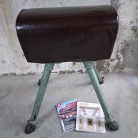 Cavallina da palestra 