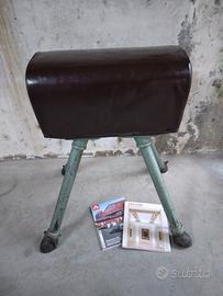 Cavallina da palestra 