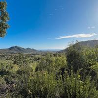 Terreno agricolo vista mare