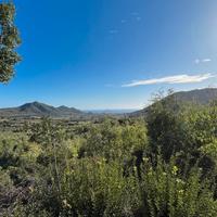 Terreno agricolo vista mare
