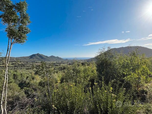 Terreno agricolo vista mare