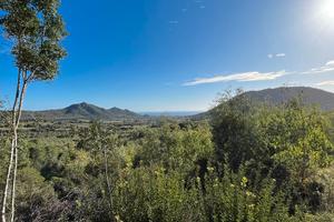 Terreno agricolo vista mare