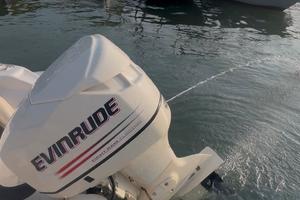 Evinrude 115 ficht ram