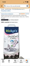 Sabbietta lettiera Biokat’s 10 lt