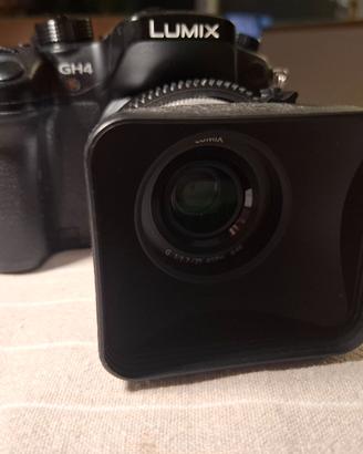 Panasonic gh4 perfetta