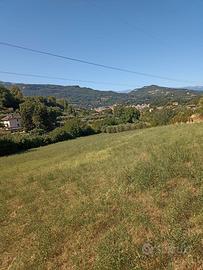 Terreno agricolo