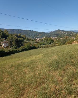 Terreno agricolo