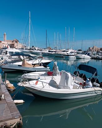 Barca con motore Mercury 40PRO