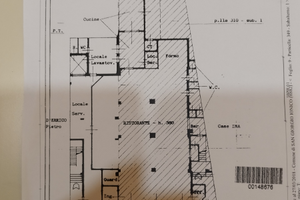 Locale commerciale C1