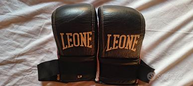 Guantoni da sacco Leone