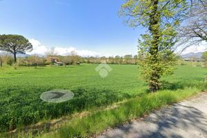 TER. AGRICOLO A PIGNATARO INTERAMNA