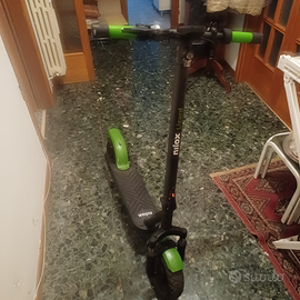 Monopatino Nilox lizard