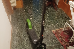 Monopatino Nilox lizard