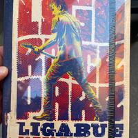 Ligabue dvd Parco di Monza Settembre 2016