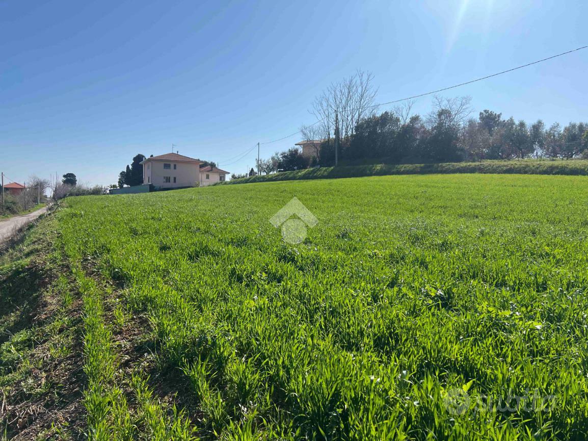 TER. AGRICOLO A ROSETO DEGLI ABRUZZI - Vista 4
