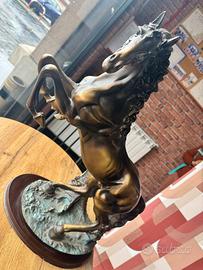 cavolo per decorazione 