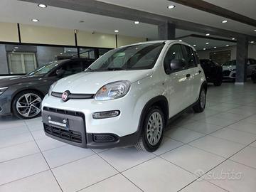 FIAT Panda 1.0 70CV FireFly S&S Hybrid Virtual C