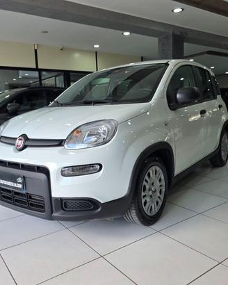 FIAT Panda 1.0 70CV FireFly S&S Hybrid Virtual C