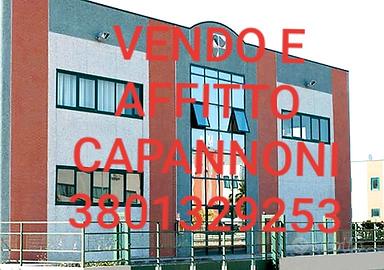 Vendó vari capannoni nuova costruzione scegli