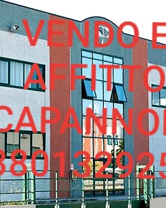 Vendó vari capannoni nuova costruzione scegli