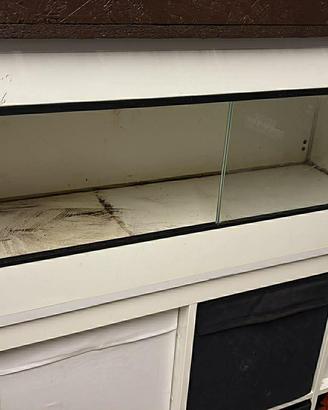 Terrario / teca per rettili