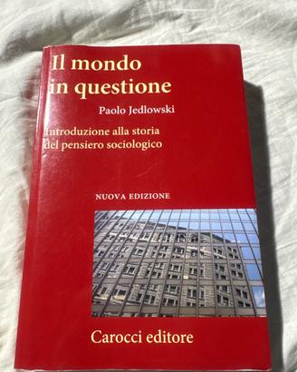 libro: il mondo in questione