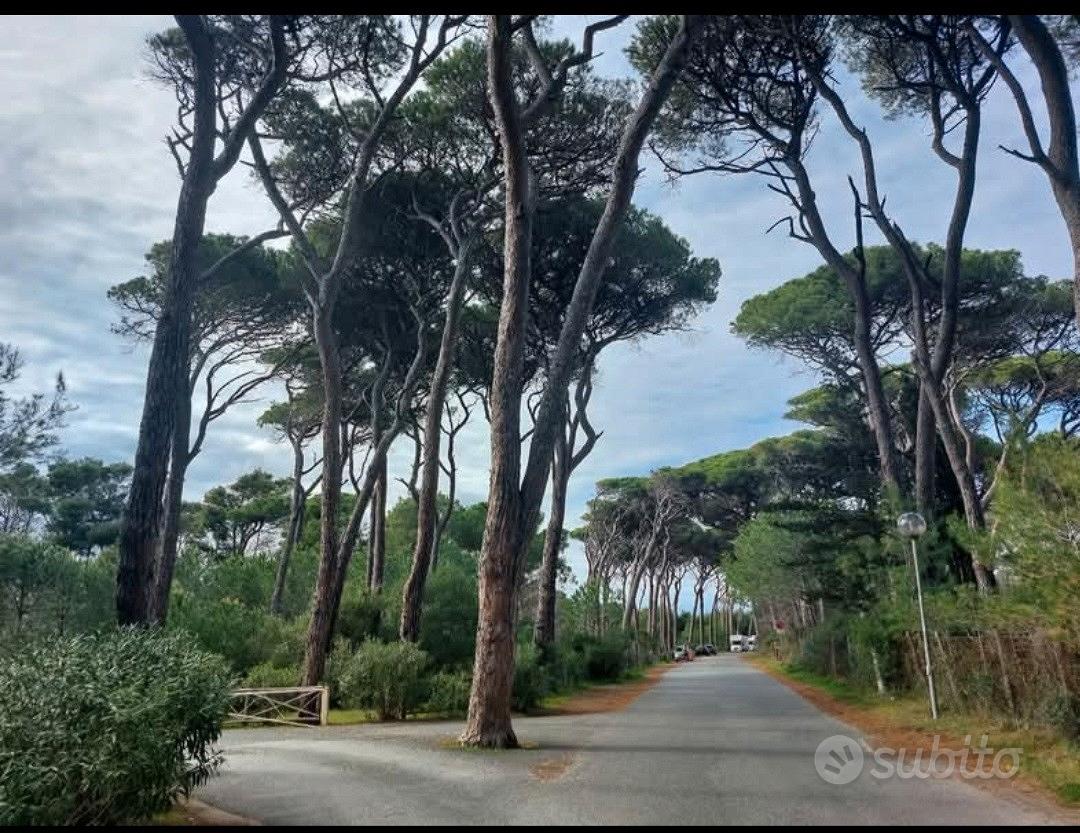 Porzione Rudere Toscana Costa degli Etruschi - Vista 4