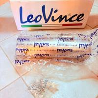 Silenziatore posteriore LeoVince  370mm