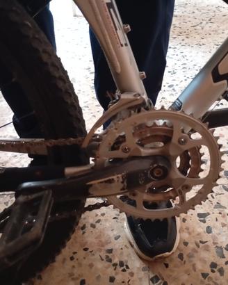 bici specialized 
