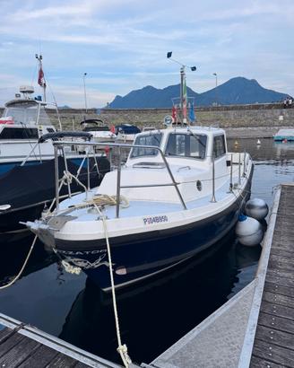 Pilotina nelson 24