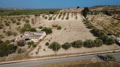 Caseggiato più uliveto