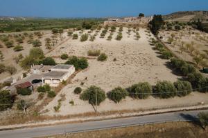 Caseggiato più uliveto