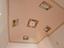 Immagine 8